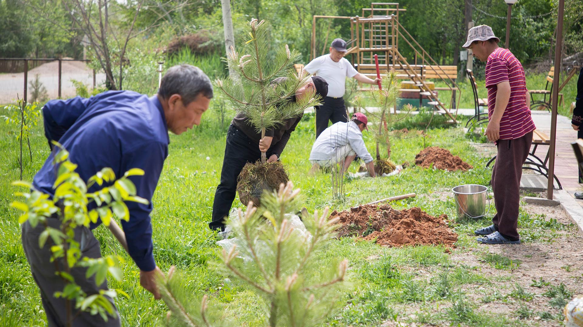 Several people seen digging and carrying out various gardening activities. 