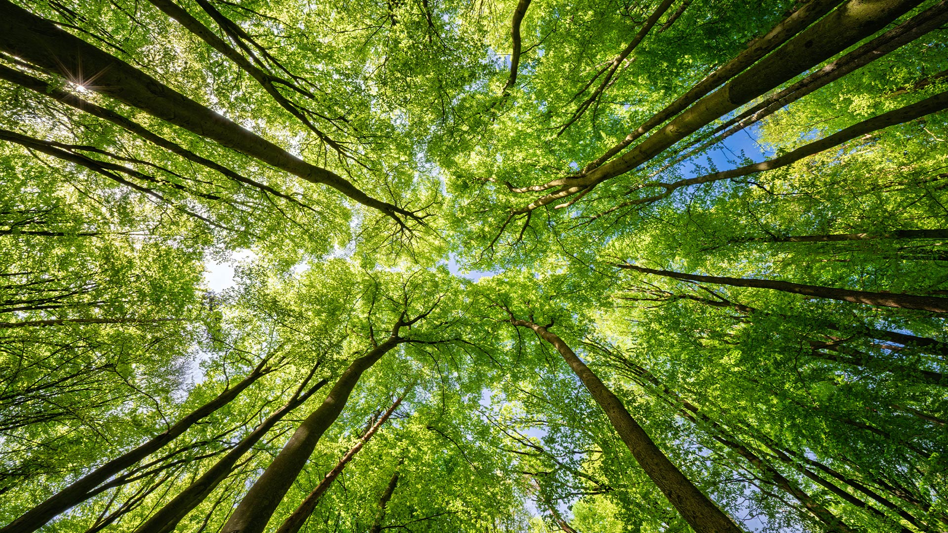 Biodiversity The Group recognises the importance of biodiversity and avoids operating in areas with high biodiversity value.